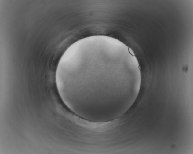 X0000113000035200910081209