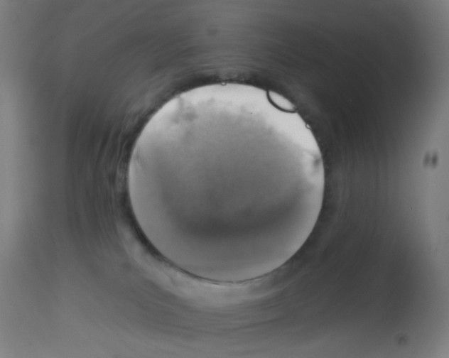 X0000113000039200910081209