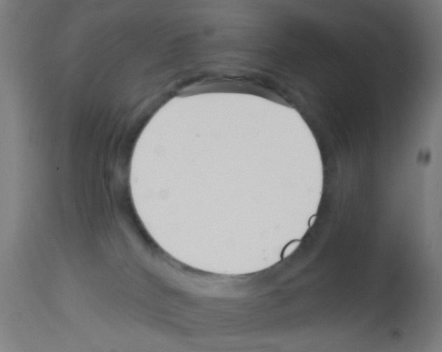 X0000113000040200910081209