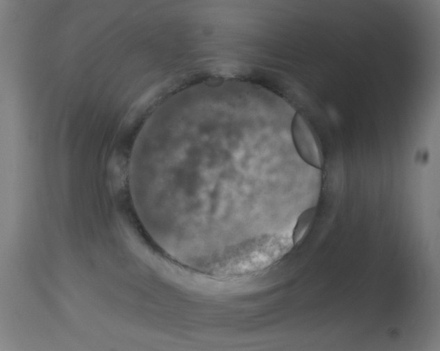 X0000113000043200910081209