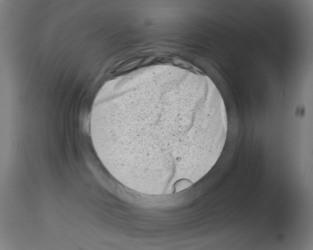 X0000113000046200910081209