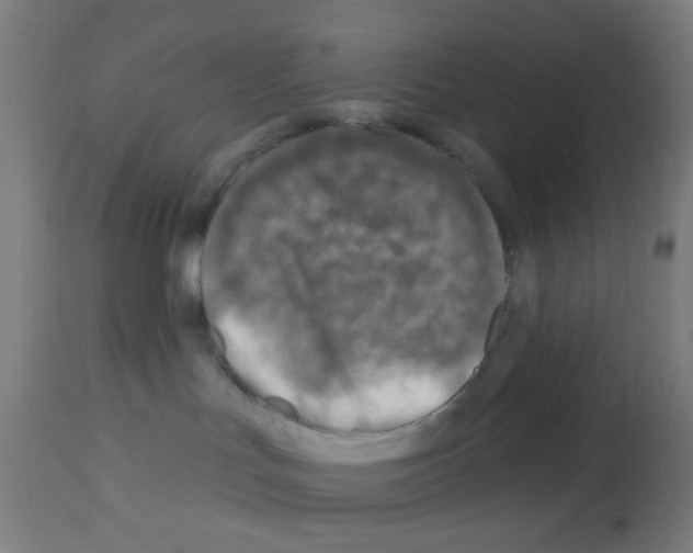 X0000113000047200910081209