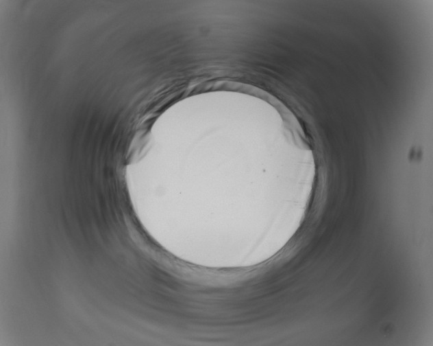 X0000113000048200910081209