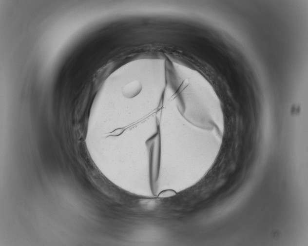 X0000113000050200910081208