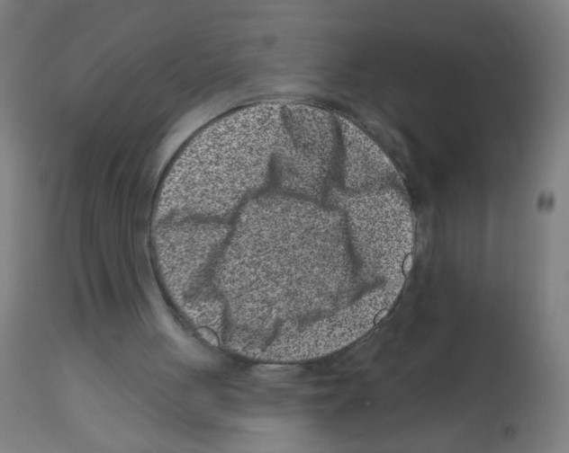 X0000113000051200910081208