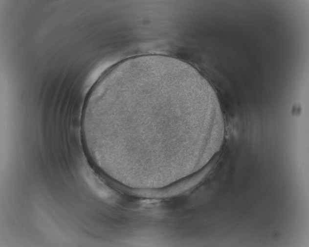 X0000113000052200910081208