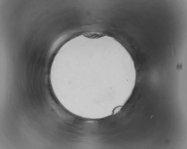 X0000113000053200910081208