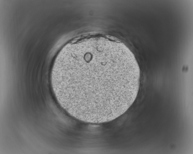 X0000113000055200910081208