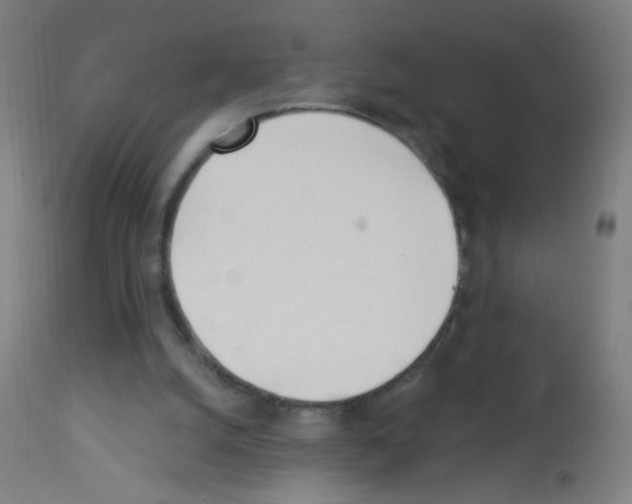 X0000113000056200910081208