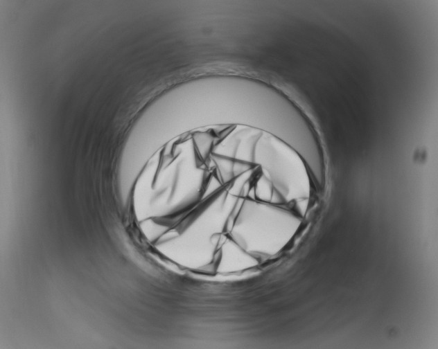 X0000113000057200910081208