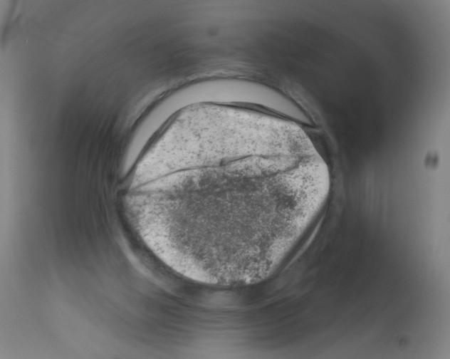 X0000113000058200910081208