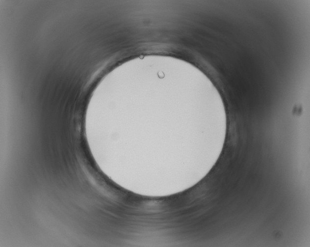 X0000113000059200910081208