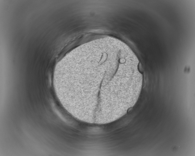 X0000113000061200910081208