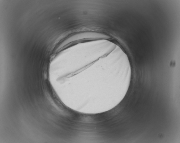 X0000113000062200910081208