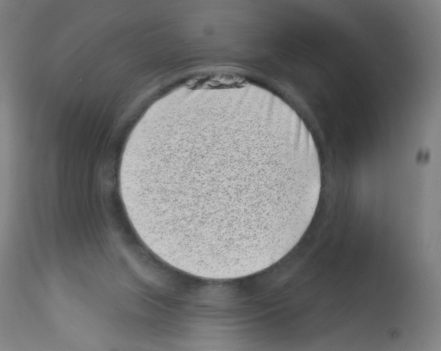 X0000113000063200910081208