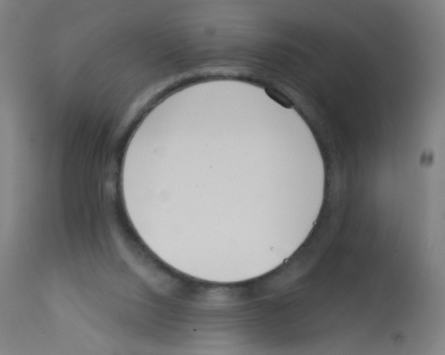 X0000113000064200910081209