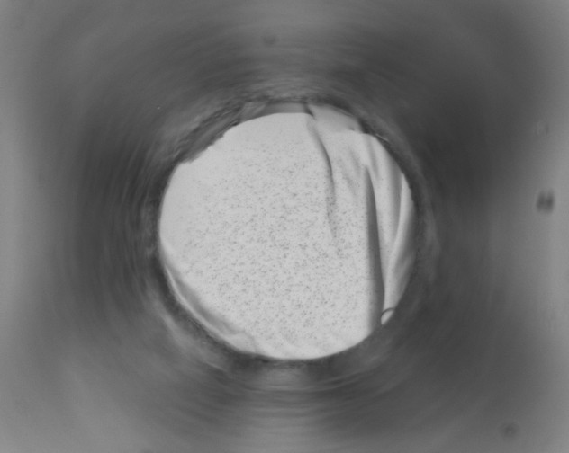 X0000113000066200910081209