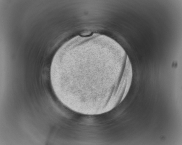 X0000113000071200910081209