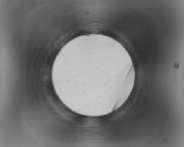 X0000113000073200910081209