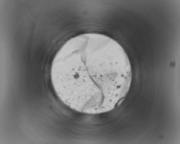 X0000113000074200910081209