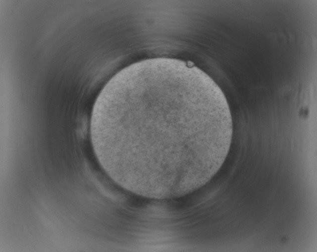 X0000113000076200910081209