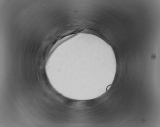 X0000113000078200910081209