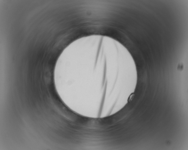 X0000113000080200910081209