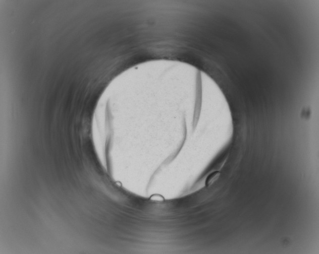 X0000113000081200910081209