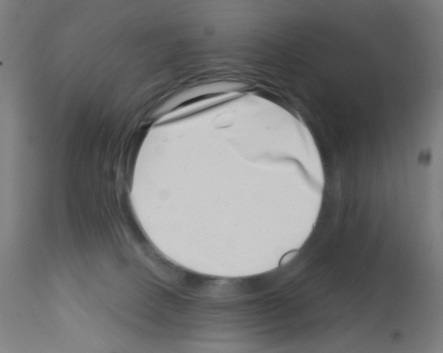 X0000113000082200910081209