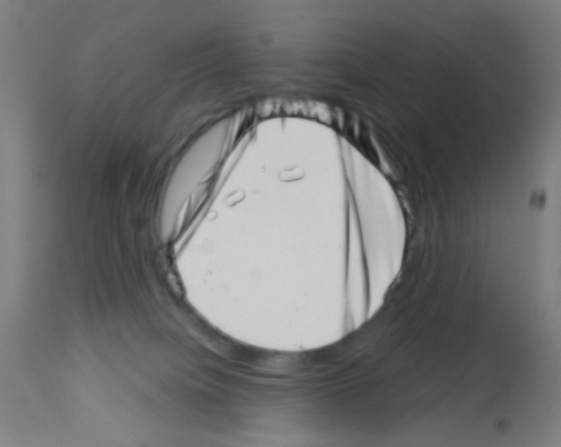 X0000113000084200910081209