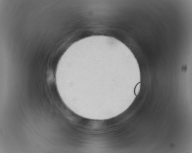 X0000113000089200910081209