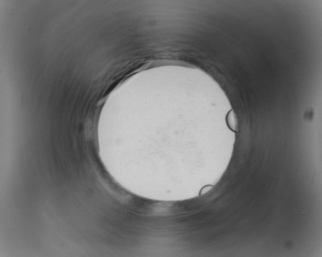 X0000113000090200910081209