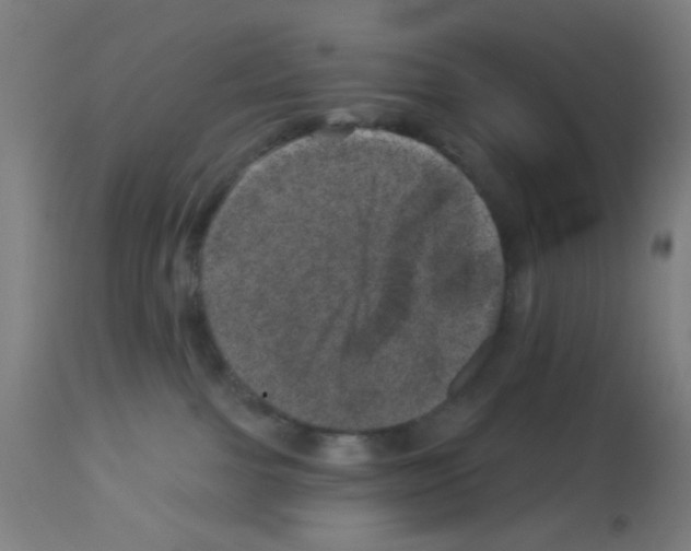 X0000113000091200910081209