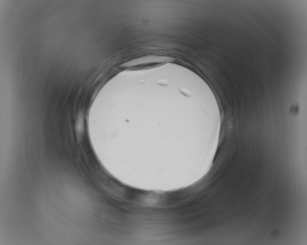 X0000113000094200910081209