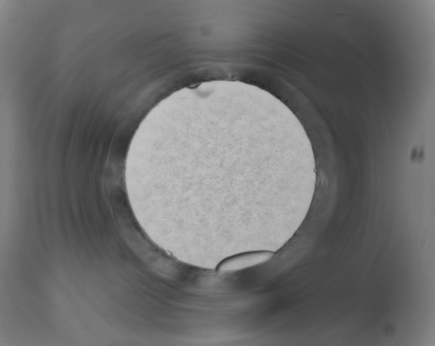 X0000113000096200910081209