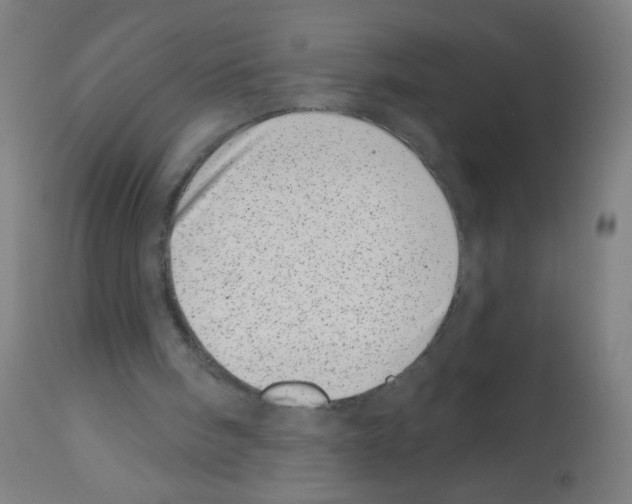 X0000113000098200910081208