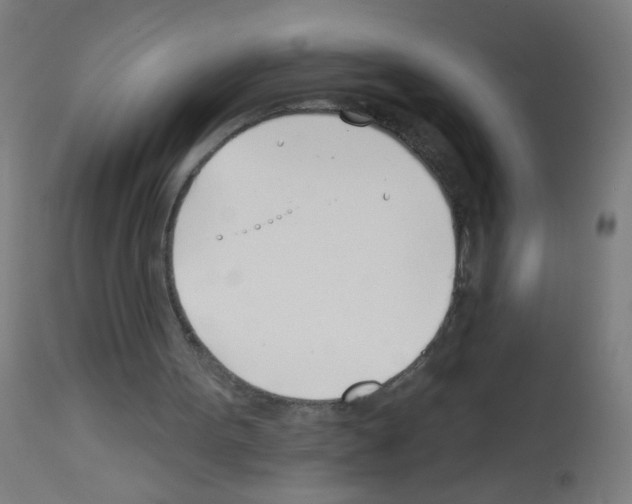 X0000113000099200910081208