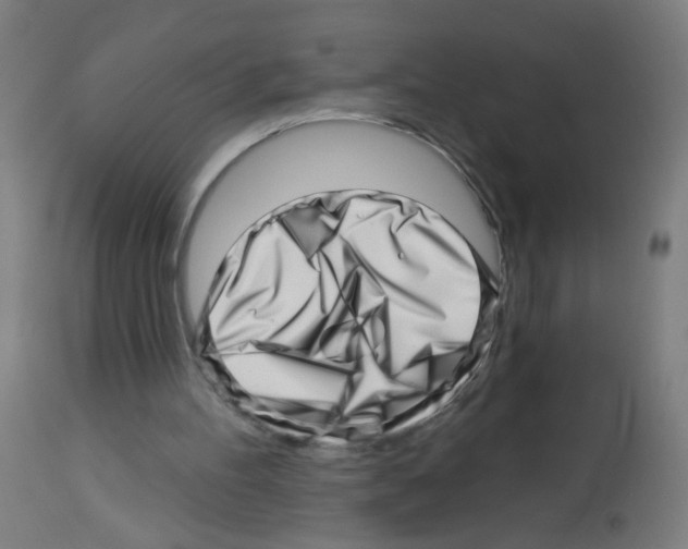 X0000113000100200910081208