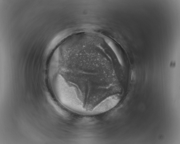 X0000113000101200910081208