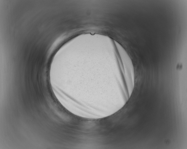 X0000113000102200910081208