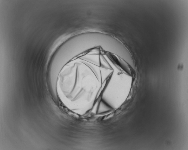 X0000113000104200910081208