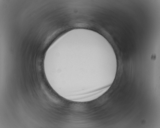 X0000113000106200910081208