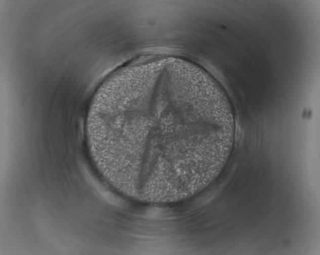 X0000113000109200910081208