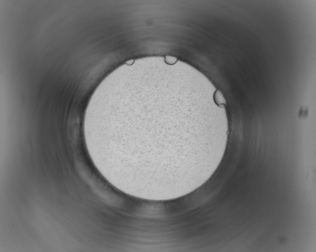 X0000113000110200910081208