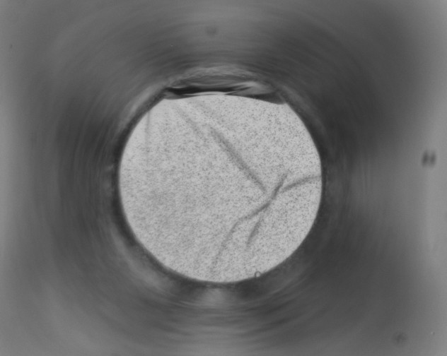 X0000113000111200910081208