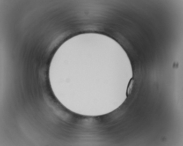 X0000113000112200910081208