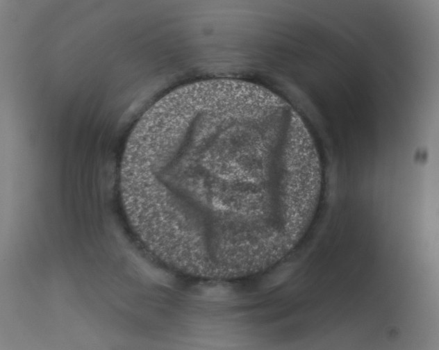 X0000113000113200910081208