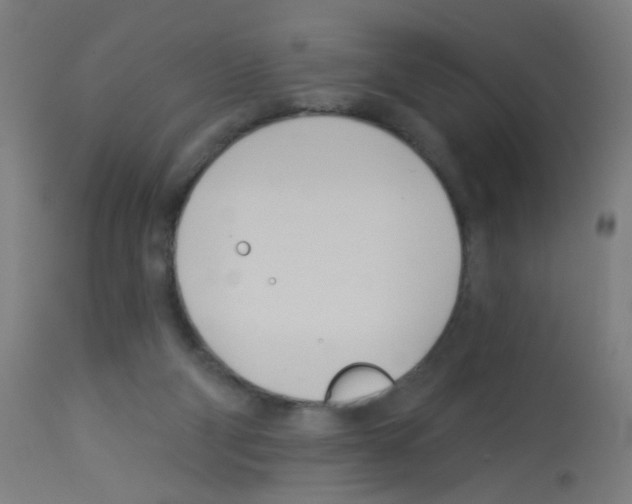 X0000113000114200910081208