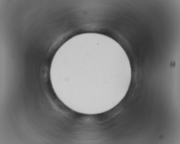 X0000113000115200910081208