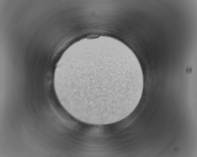 X0000113000116200910081208